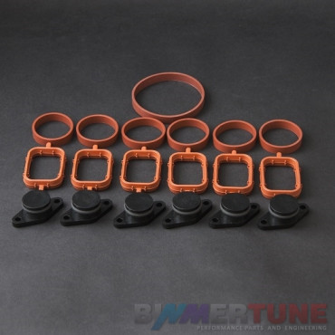 Swirl blanks 22mm & manifold gaskets • BMW 330d 525d 530d |1999 - 2004|